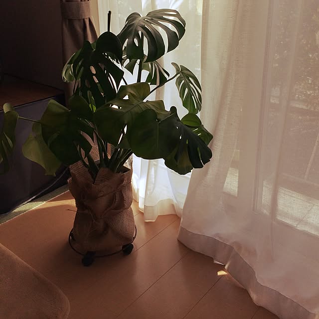 HM39さんの実例写真