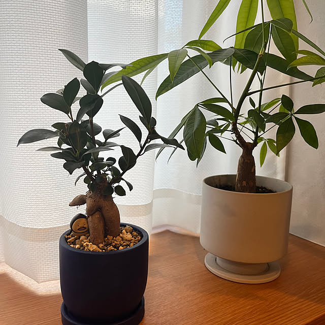 create_a_roomさんの実例写真