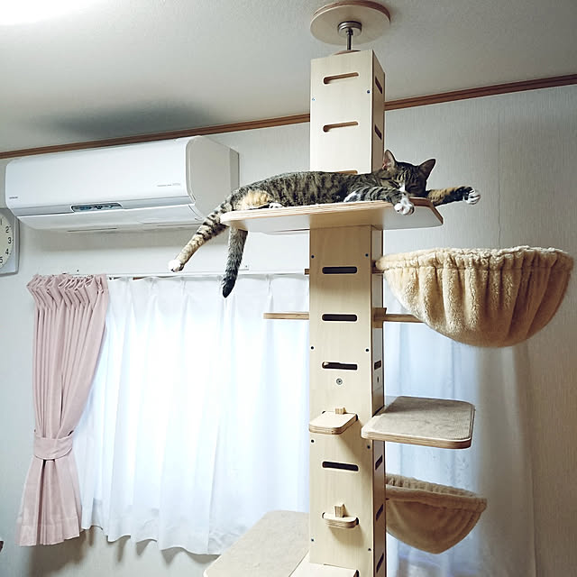 nachiさんの実例写真