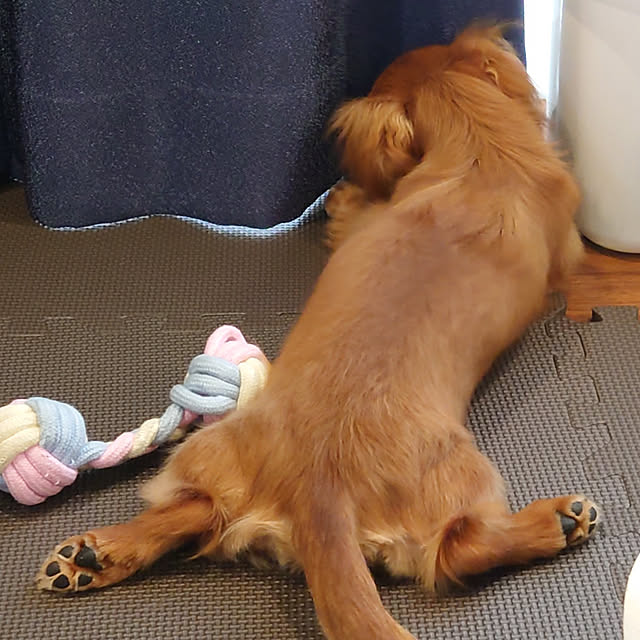 ponchanさんの実例写真
