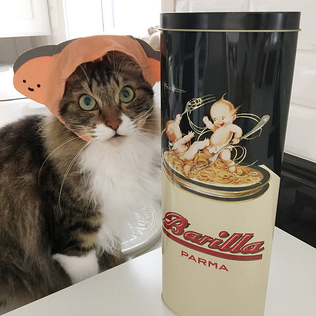 yuchiさんの実例写真