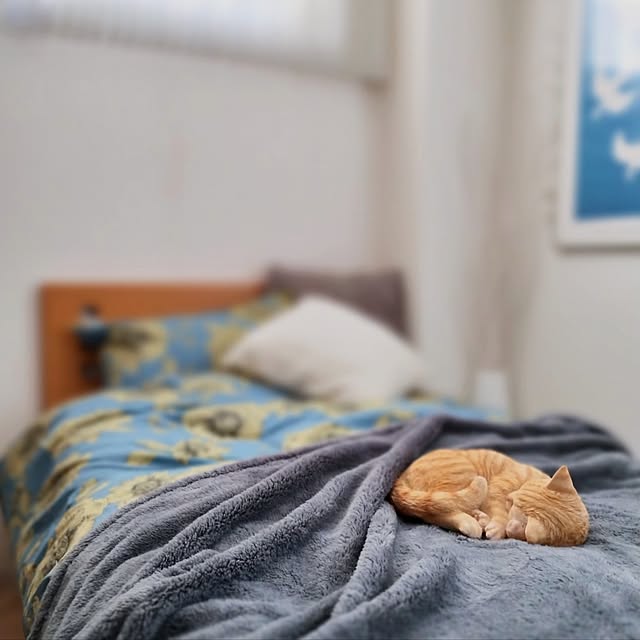 jinさんの実例写真