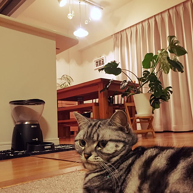 hiyupan88さんの実例写真