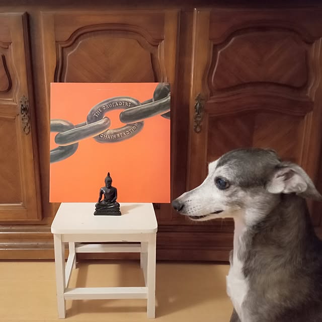 moruさんの実例写真