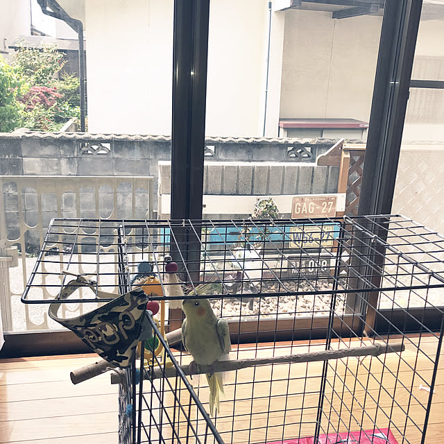 lilyさんの実例写真