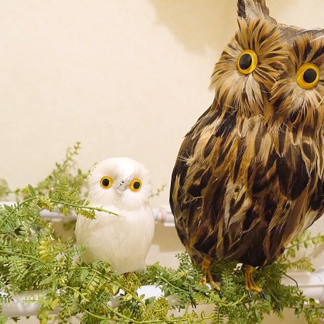 HARUさんの実例写真