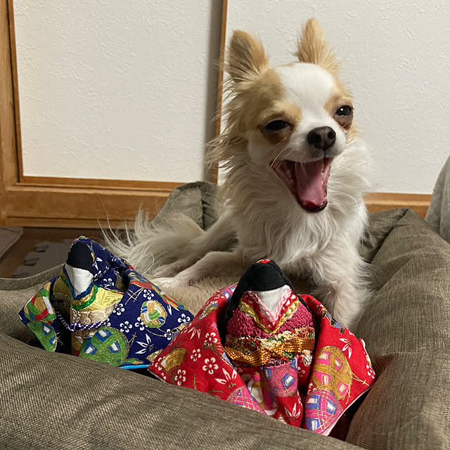 toratanさんの実例写真