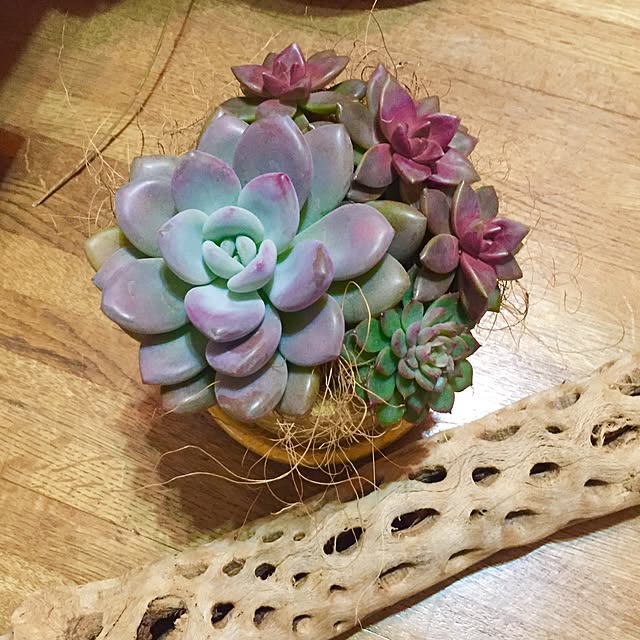 risaponさんの実例写真