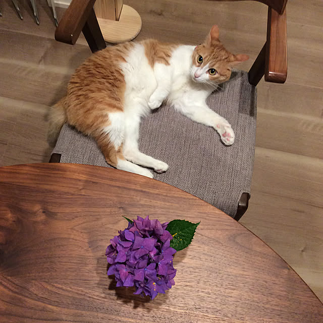 houenさんの実例写真