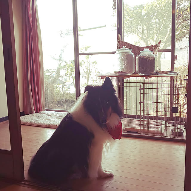 --rnrmm--さんの実例写真