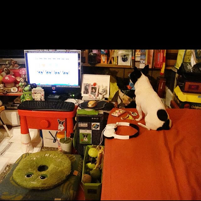 Qmamaさんの実例写真