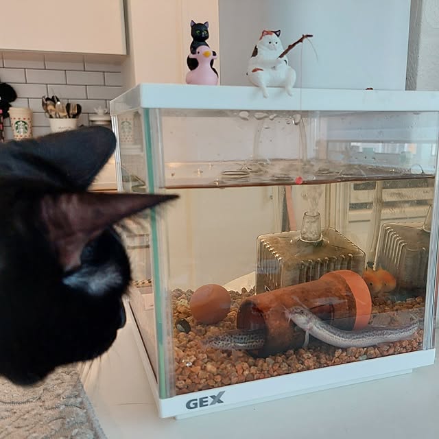 Sakasanさんの部屋