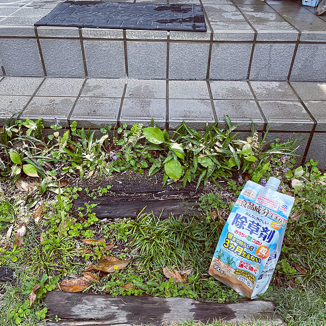 burubonさんの部屋