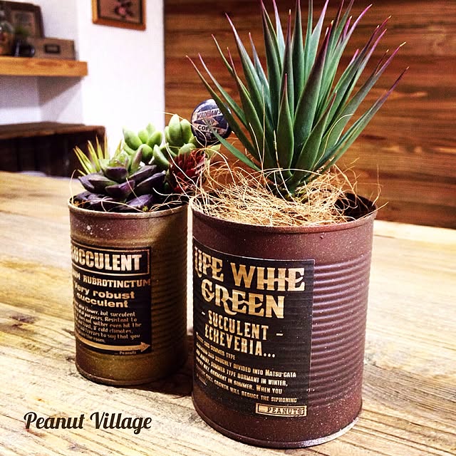 PeanutVillageさんの実例写真