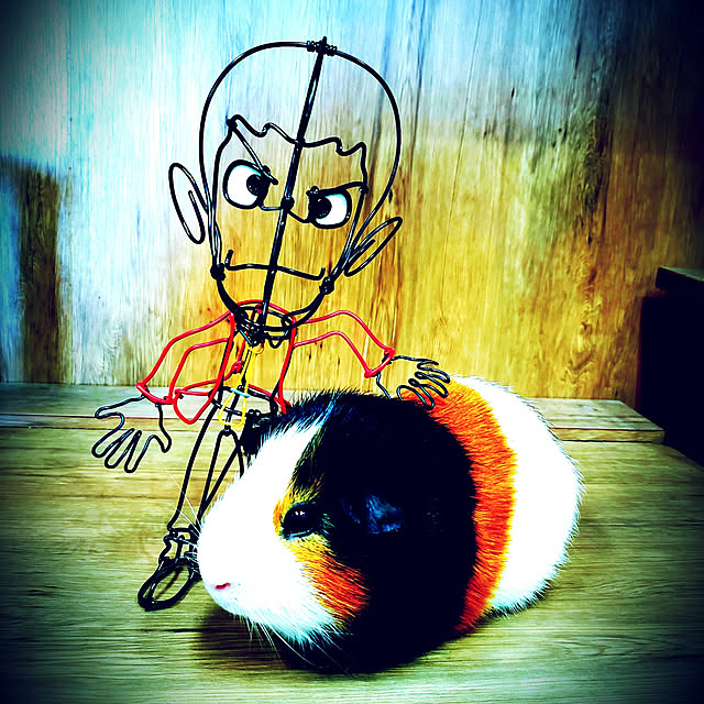 J.BOYさんの実例写真