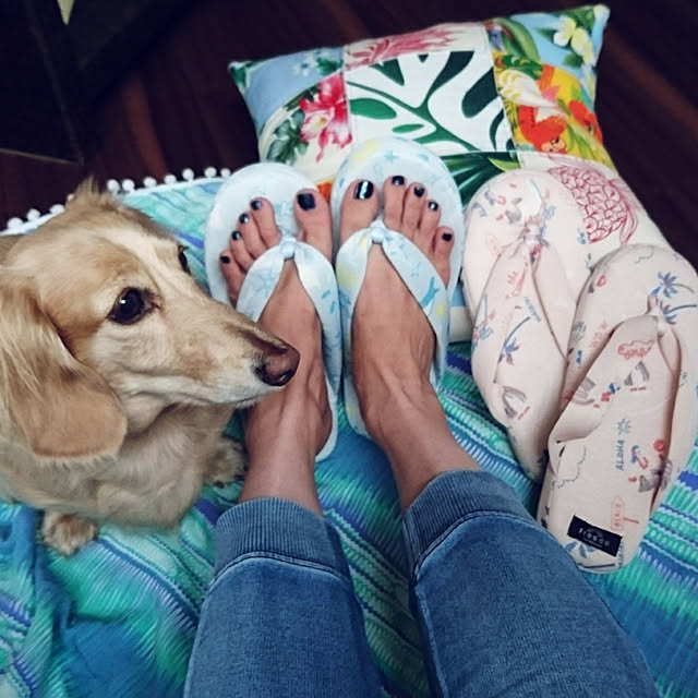cocosorasakuさんの実例写真