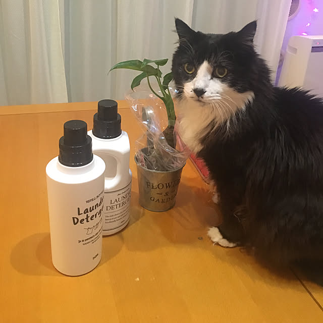 kanaさんの実例写真