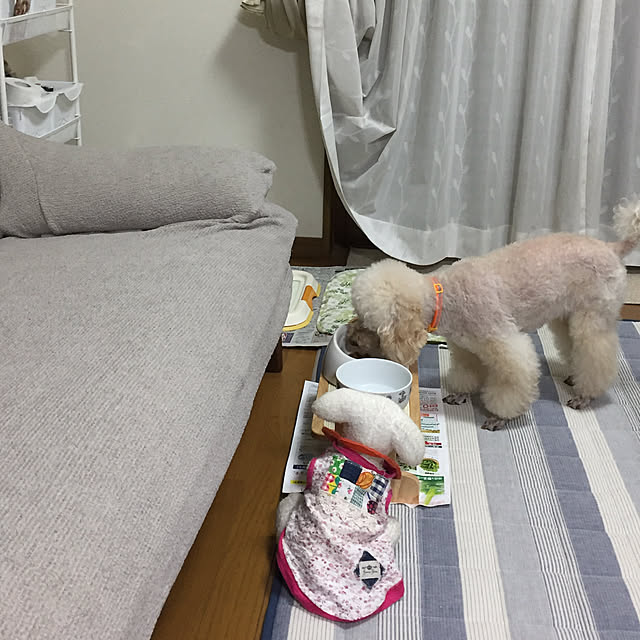 Junran50さんの実例写真