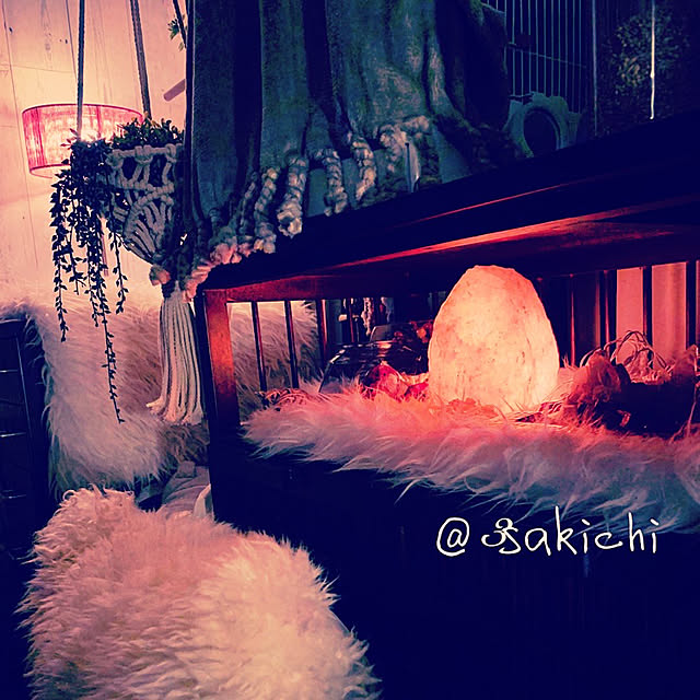 SAKICHIさんの実例写真