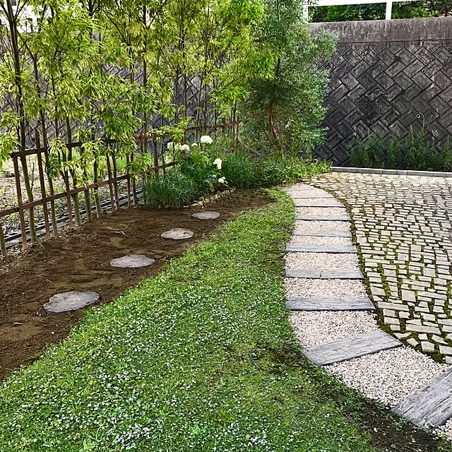 Riiさんの実例写真