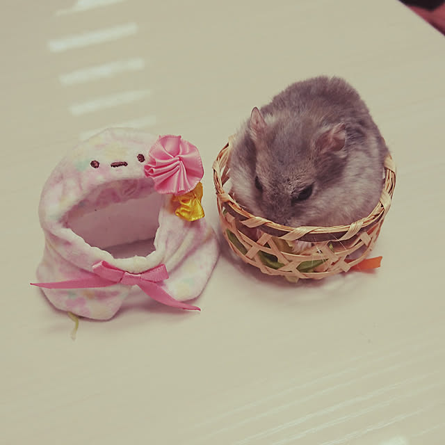 mmfamilyさんの実例写真