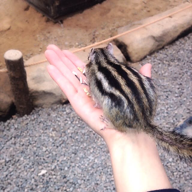 mayRin.さんの実例写真