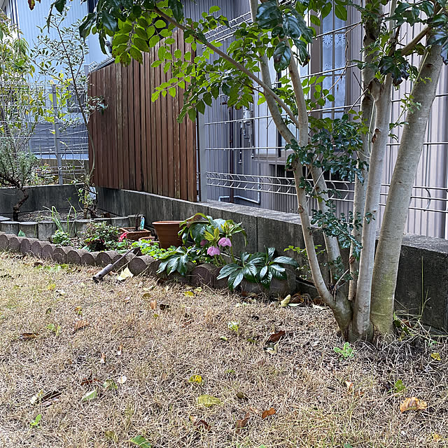 krkc..さんの実例写真