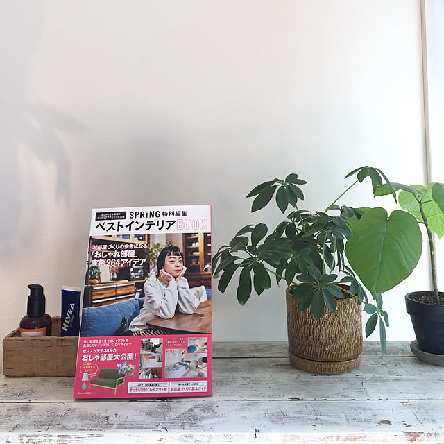 kazenさんの実例写真