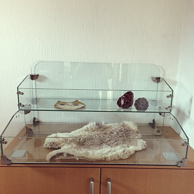 afroさんの実例写真