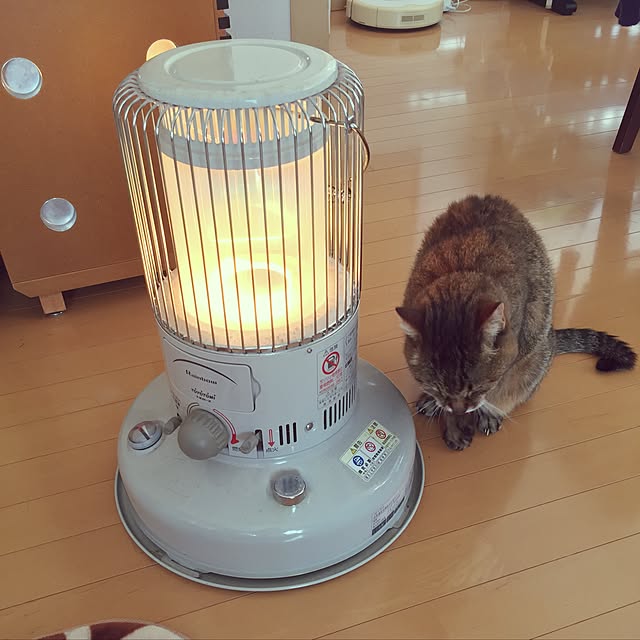 lunchinsavannaさんの実例写真