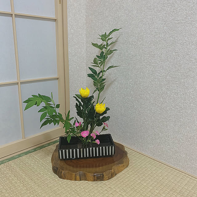 Samさんの実例写真