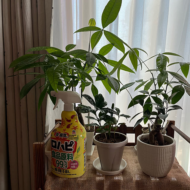 mogumoguさんの実例写真