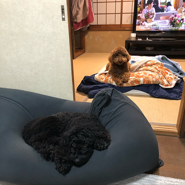 shige.yoshiさんの実例写真