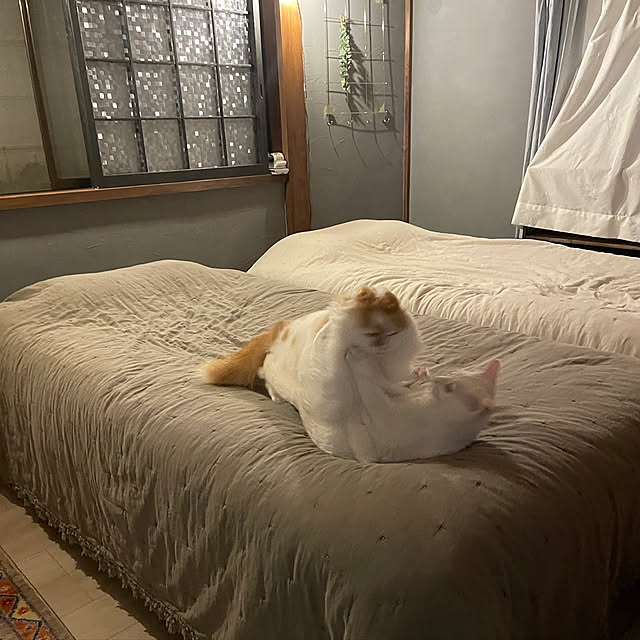 keiさんの実例写真