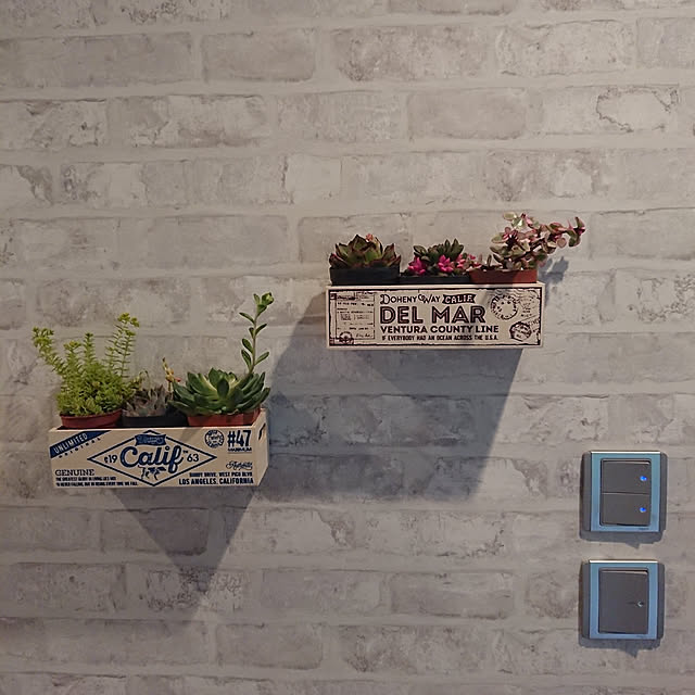 Alanさんの実例写真