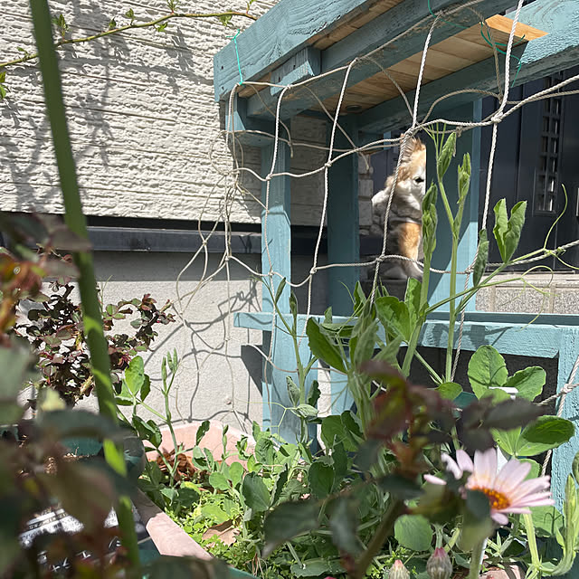 natsumiさんの実例写真