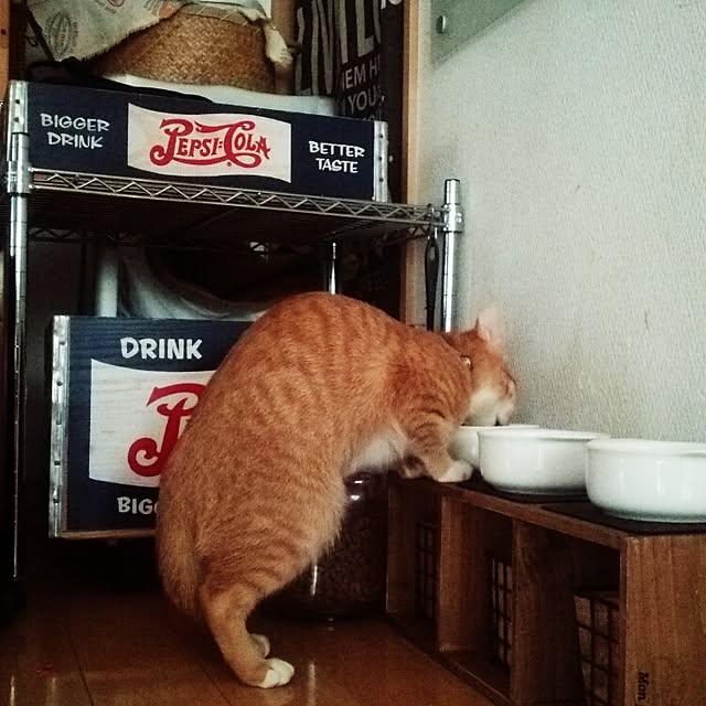 FUKUさんの実例写真