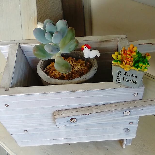 hana4504さんの実例写真