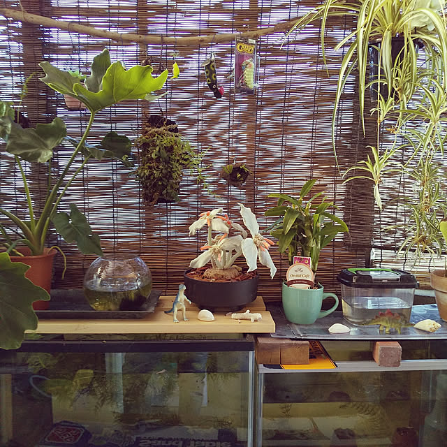 raramamさんの実例写真