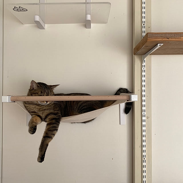 mikomaruさんの実例写真