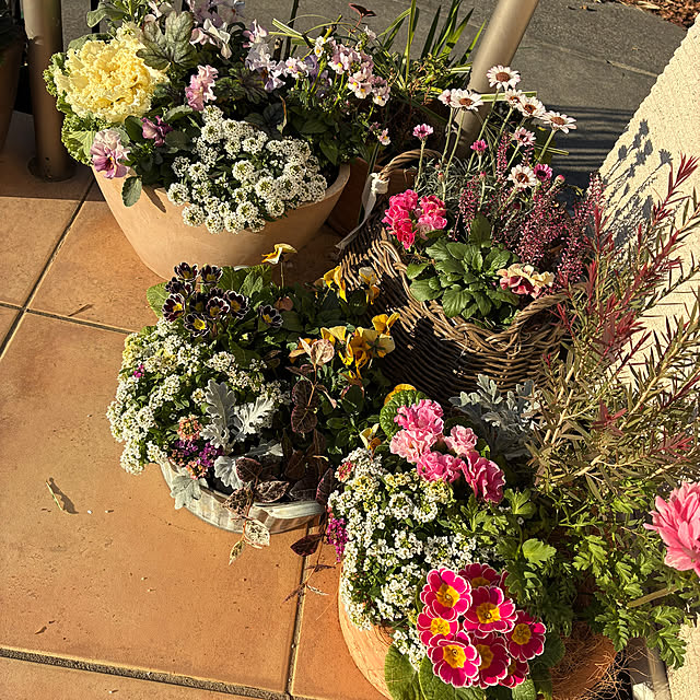 leepo5さんの実例写真