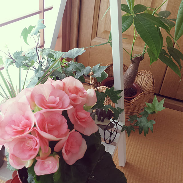 hanaotoさんの実例写真