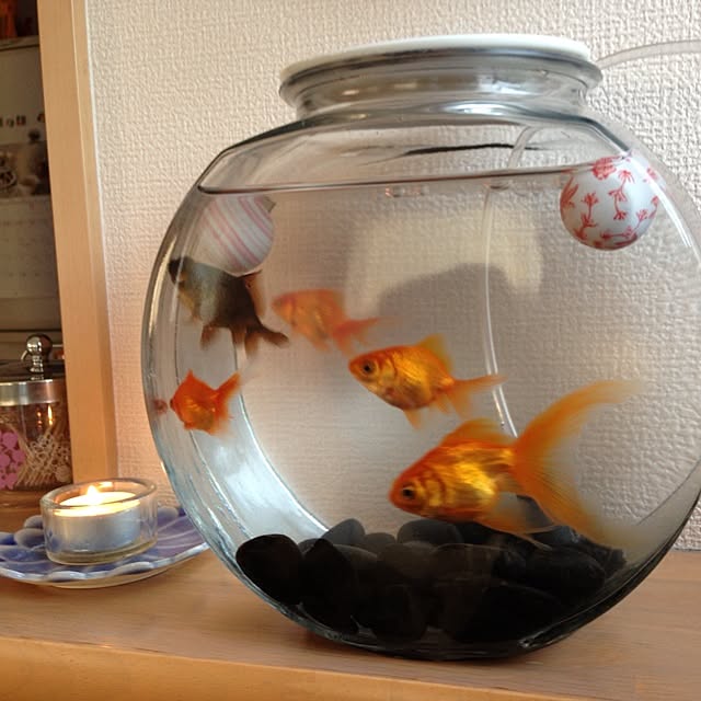 megumukuさんの実例写真