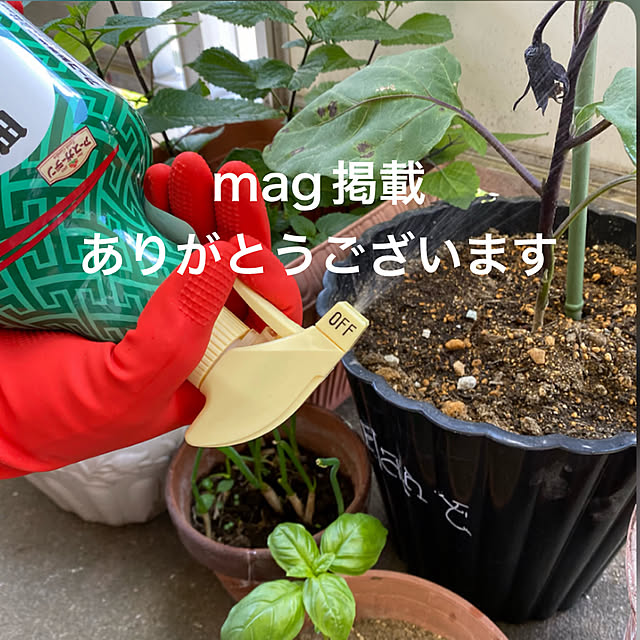 mamiさんの実例写真