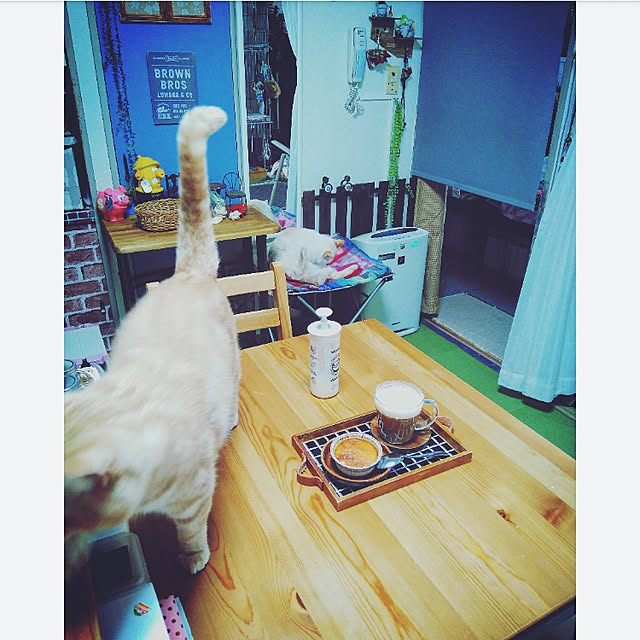 mntcさんの実例写真