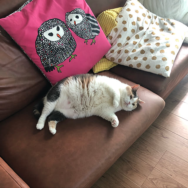 nonさんの実例写真