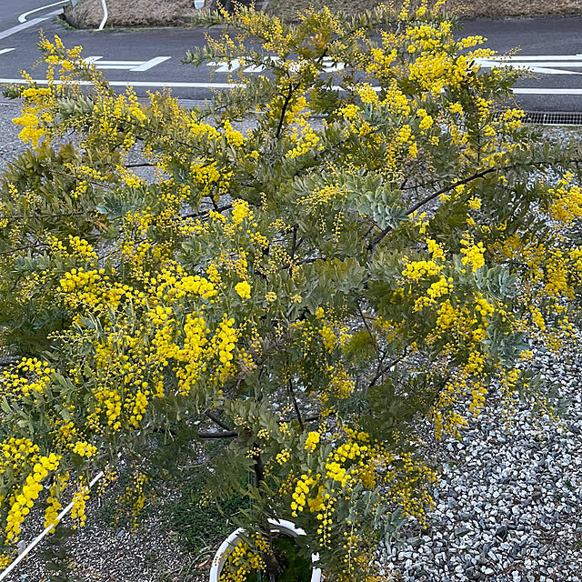 shin0719さんの部屋