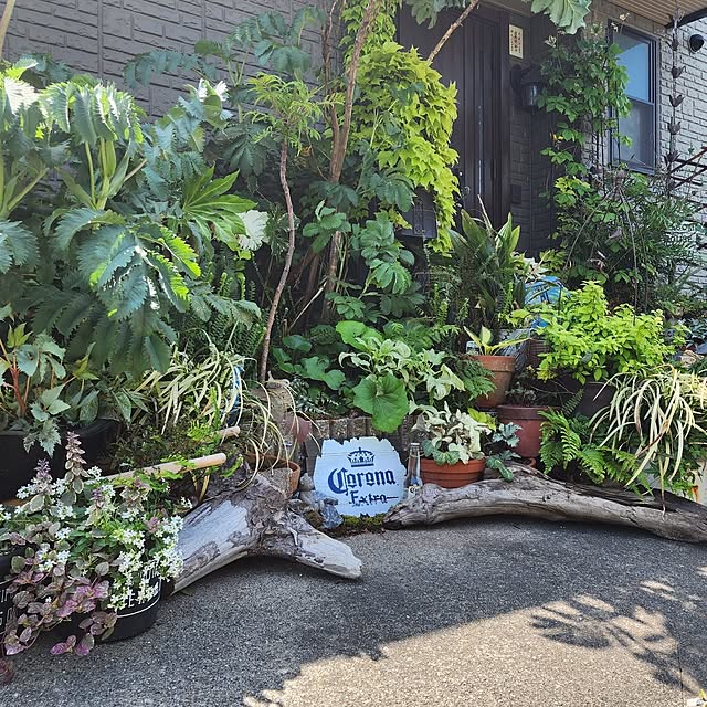 GreenHomeさんの部屋