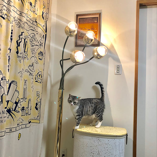 Shojiさんの実例写真