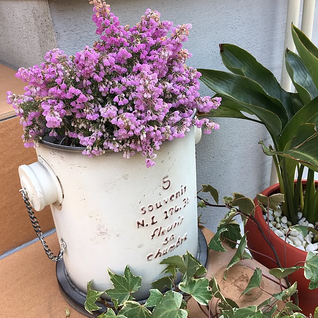 luna.comさんの実例写真